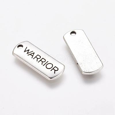 Tibetan Style Alloy Rectangle Pendants TIBEP-Q043-050-RS-1
