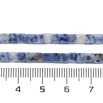 Natural Blue Spot Jasper  Beads Strands G-B129-A10-01-1