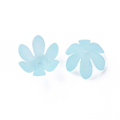 Transparent Acrylic Beads MACR-S373-47-D07-1