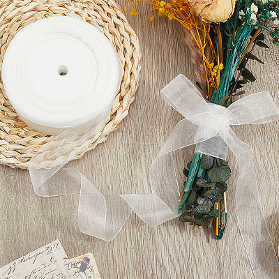 1 Rolls Sheer Organza Ribbon SRIB-CY0001-22A-03-1