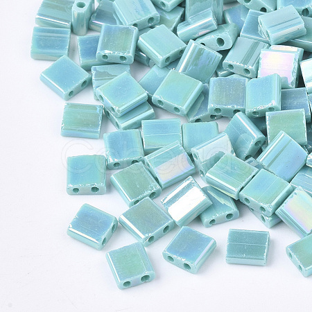 2-Hole Glass Seed Beads SEED-S023-19C-01-1