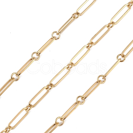304 Stainless Steel Oval & Ring Link Chain CHS-C006-05G-1