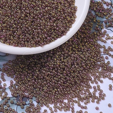 MIYUKI Round Rocailles Beads SEED-X0054-RR0301-1