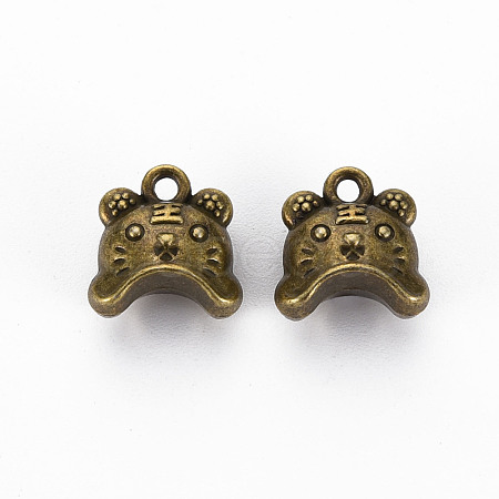 Tibetan Style Alloy Charms TIBEP-N010-013AB-RS-1