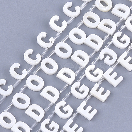 Natural Freshwater Shell Beads X-SHEL-T012-59-1