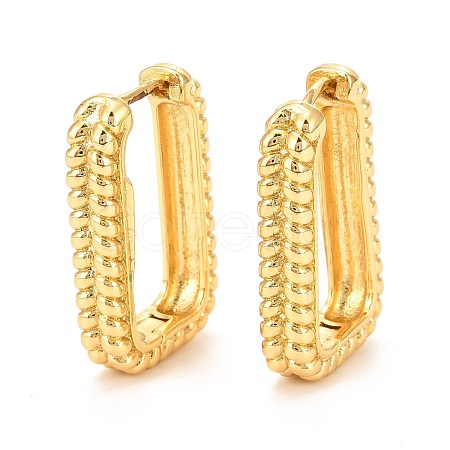 Brass Hoop Earrings EJEW-F273-02B-G-1