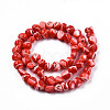 Natural Trochid Shell/Trochus Shell Beads Strands SSHEL-N032-48-A05-2