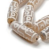 Tibetan Style dZi Beads Strands G-P526-C01-4