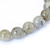 Natural Labradorite Round Bead Strands X-G-E334-8mm-19-2