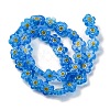 Handmade Millefiori Lampwork Beads Strands LAMP-G164-03C-2