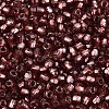 Silver Lined Glass Seed Beads SEED-T007-18A-13-3