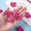 Transparent Acrylic Beads X-BSF796-C16-7