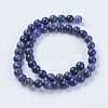 Natural Sodalite Beads Strands X-G-G448-8mm-25-2