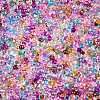 6/0 Baking Paint Transparent Fringe Glass Seed Beads SEED-N006-06-3