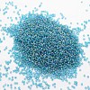 6/0 Round Glass Seed Beads X-SEED-J011-F6-179-2