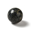 Natural Kambaba Jasper Beads G-A206-02-19-2