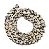 Natural Dalmatian Jasper Beads Strands G-A272-A01-32-4