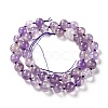 Natural Ametrine Beads Strands G-G010-01-3