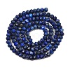 Dyed Natural Lapis Lazuli Beads Strands G-K376-B05-02-3