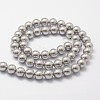 Shell Pearl Beads Strands X-BSHE-L026-05-6mm-2