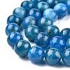 Natural Apatite Beads Strands G-O186-E02-8mm-6