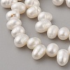 Natural Cultured Freshwater Pearl Beads Strands PEAR-G007-16-3