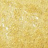 8/0 Glass Seed Beads SEED-Z001-C-E02-3