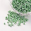 12/0 Opaque Colours Seep Glass Beads SEED-M008-C49-1