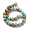 Dyed Natural Regalite/Imperial Jasper/Sea Sediment Jasper Beads Strands G-B124-C02-03-5