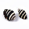 Natural Spiral Shell Beads SSHEL-T014-06-2
