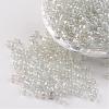 Round Glass Seed Beads X-SEED-A006-4mm-101-1