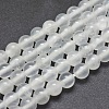 Natural Selenite Beads Strands X-G-G792-24B-1
