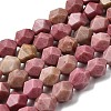 Natural Rhodonite Beads Strands G-Z119-A14-03-3