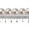 Baking Paint Pearlized Glass Pearl Round Bead Strands PEAR-H019-02E-04-5