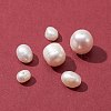 4 Styles Natural Cultured Freshwater Pearl Beads SHEL-FS0001-04-2