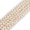 Natural Cultured Freshwater Pearl Beads Strands PEAR-L033-19-01-1