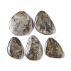 Natural Fossil Pendant G-Q164-16-1