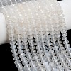 Natural White Agate Beads Strands G-C280-A11-01-1