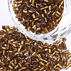 FGB Grade A Glass Seed Beads SEED-S022-04A-21-1