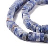 Natural Blue Spot Jasper Beads Strands G-K326-04-4