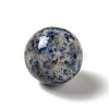 Natural Blue Spot Jasper Beads G-A206-02-07-2
