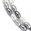 Electroplated Shell Pearl Beads Strands BSHE-H113-06C-02-3