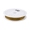 Nylon-coated Stainless Steel TWIR-H003-01C-G-1