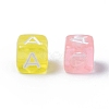 Transparent Large Hole Acrylic European Beads TACR-Q005-6mm-M-2