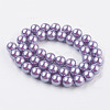 Eco-Friendly Dyed Glass Pearl Round Beads Strands HY-A002-10mm-RB056-2