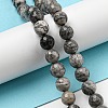 Natural Map Stone/Picasso Stone/Picasso Jasper Beads Strands G-C079-B05-02-2
