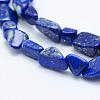 Natural Lapis Lazuli Beads Strands G-K203-18-3