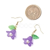 5Pairs Acrylic Dangle Earrings EJEW-JE06426-3