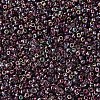 MIYUKI Round Rocailles Beads X-SEED-G007-RR4573-3