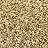 MIYUKI Delica Beads X-SEED-J020-DB0034-3
